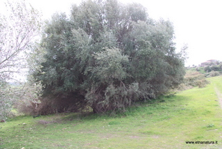 ammena-26-02-2023 13-49-06